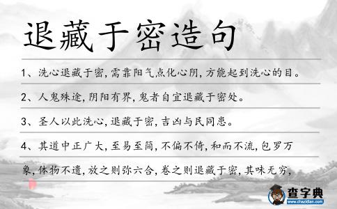 退藏于密造句