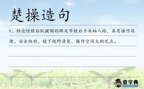 楚操造句