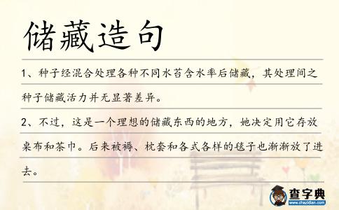 儲藏造句