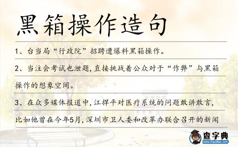 黑箱操作造句