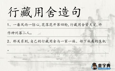 行藏用舍造句