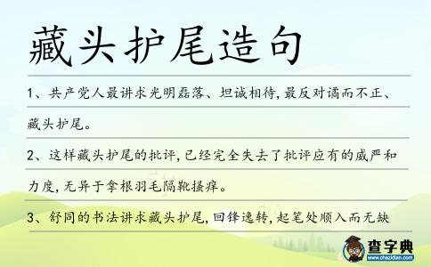藏頭護尾造句