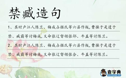 禁臧造句