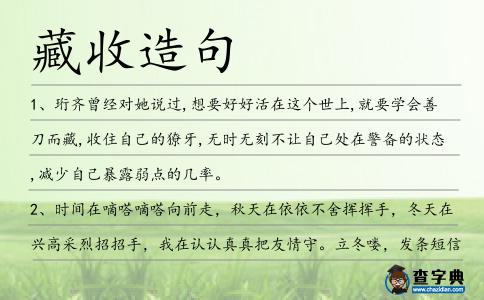 藏收造句