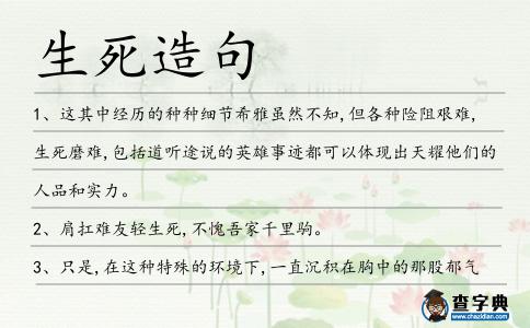 生死造句
