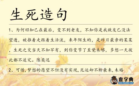生死造句