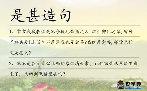 是甚造句