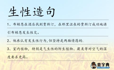 生性造句