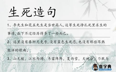 生死造句