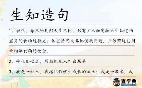 生知造句