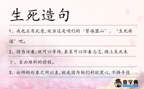 生死造句