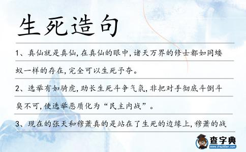 生死造句