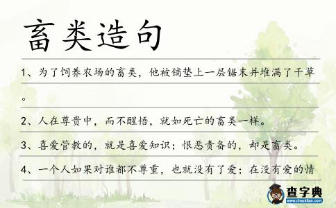 畜類造句