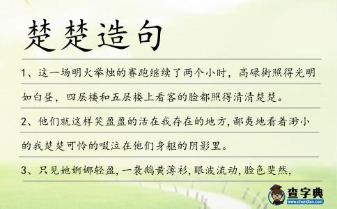 楚楚造句