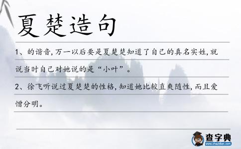 夏楚造句