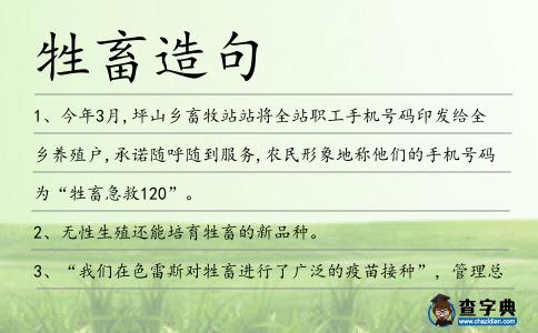 牲畜造句