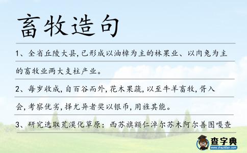 畜牧造句