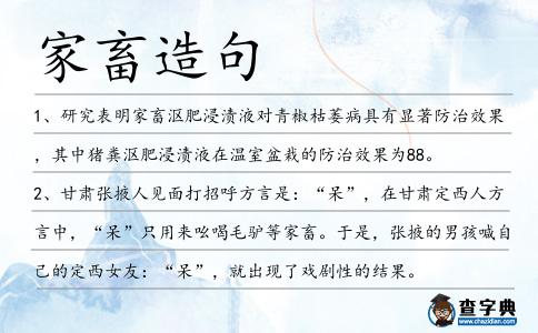 家畜造句