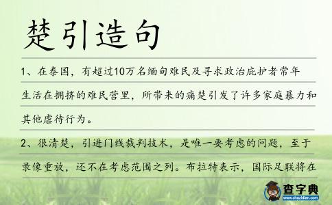 楚引造句