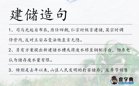 建儲造句