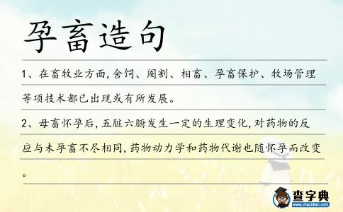 孕畜造句
