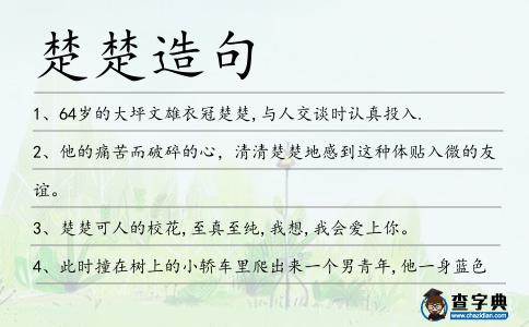 楚楚造句