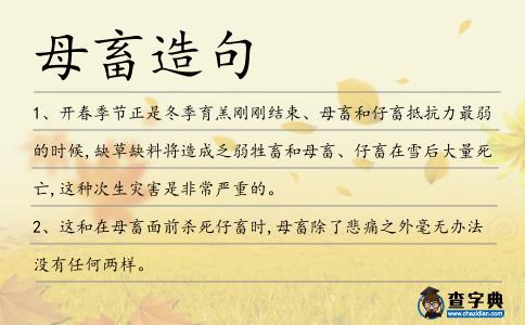 母畜造句