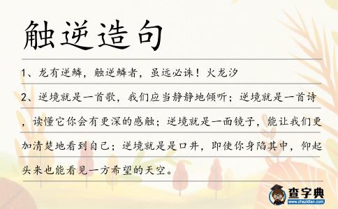 觸逆造句