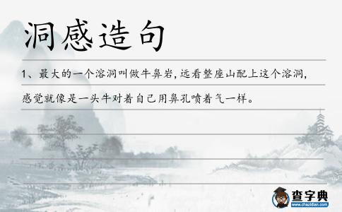 洞感造句