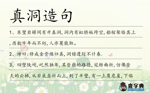 真洞造句
