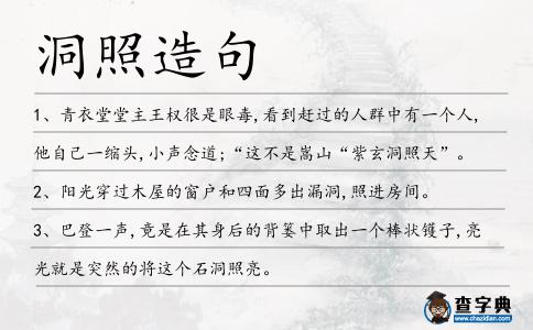 洞照造句