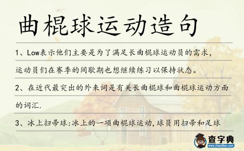曲棍球運動造句