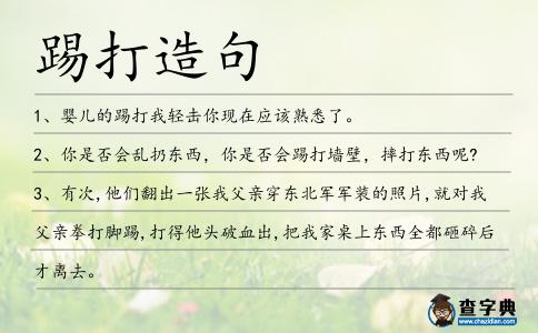 踢打造句