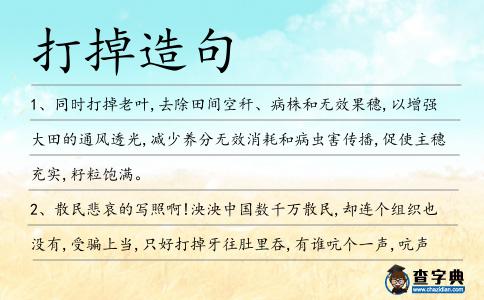 打掉造句