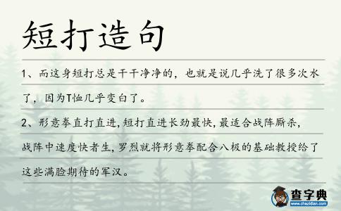 短打造句