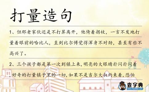 打量造句