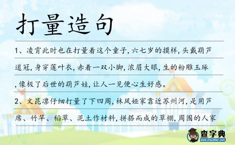 打量造句