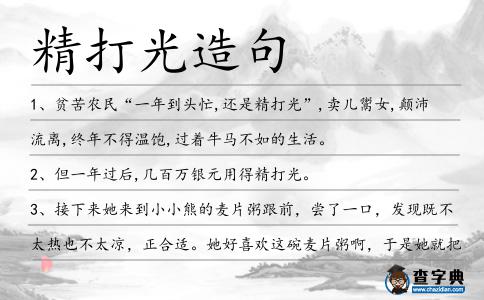 精打光造句