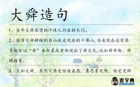 大舜造句