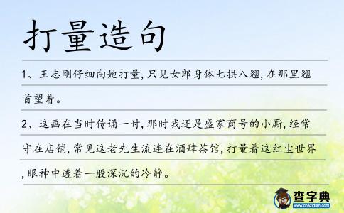 打量造句