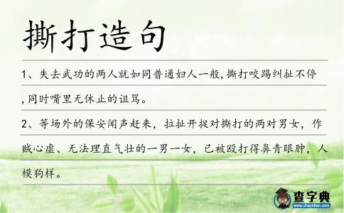 撕打造句