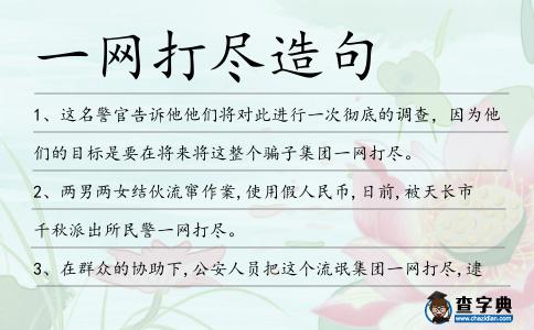 一網打盡造句