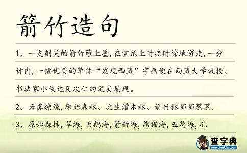 箭竹造句