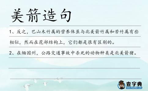 美箭造句