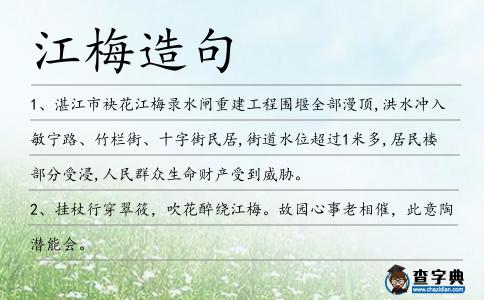 江梅造句