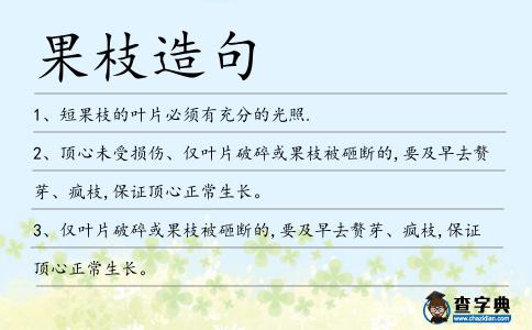 果枝造句