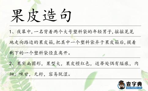 果皮造句