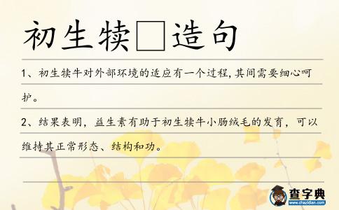 初生犢造句