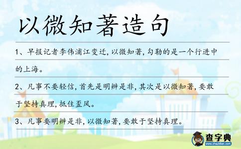 以微知著造句