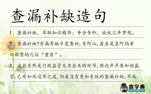 查漏補缺造句